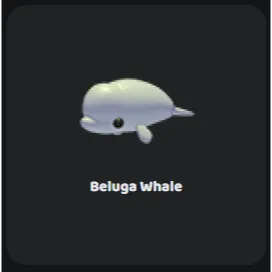 4x Beluga Whale