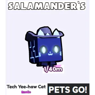 Tech Yee-haw Cat Pets Go