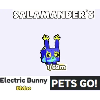 Electric Bunny Pets Go