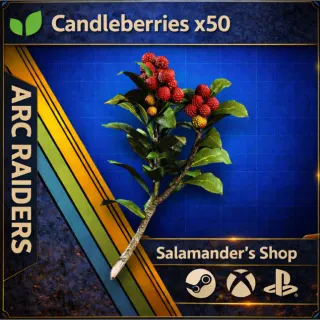 Candleberries ARC Raiders