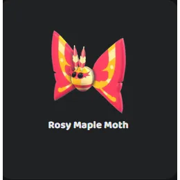 Rosy Maple Moth