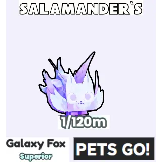 Galaxy Fox Pets Go