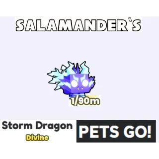 Storm Dragon Pets Go