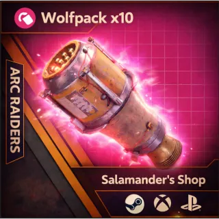 Wolfpack ARC Raiders