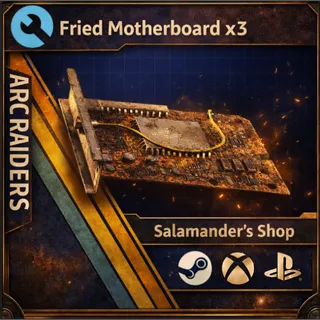 Fried Motherboard ARC Raiders