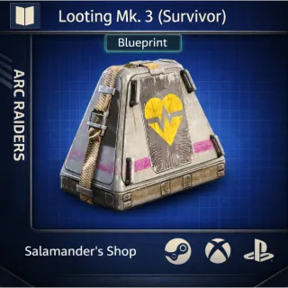 Looting Mk.3 (Survivor) Blueprint