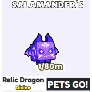 Relic Dragon Pets Go