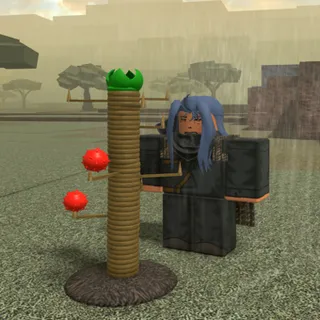 bridger western - rokaka seed (x5)