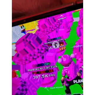 397.5 rainbow cactus 