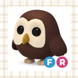 FR Owl Adopt Me!