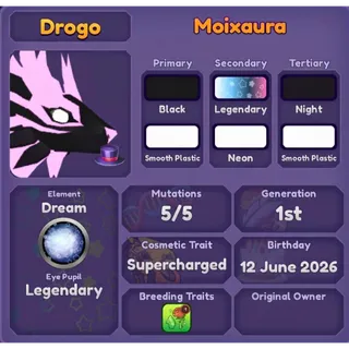 MOIXAURA | DRAGON ADVENTURES 