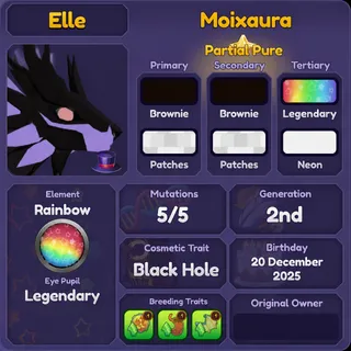 MOIXAURA | DRAGON ADVENTURES 