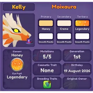 MOIXAURA | DRAGON ADVENTURES 