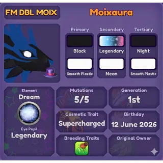 MOIXAURA | DRAGON ADVENTURES 
