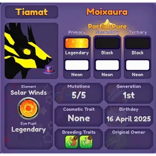MOIXAURA 2025 | DRAGON ADVENTURES 