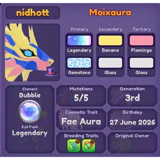 MOIXAURA | DRAGON ADVENTURES 