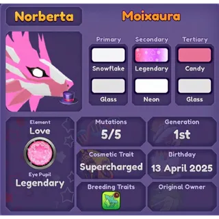 MOIXAURA 2025 | DRAGON ADVENTURES 