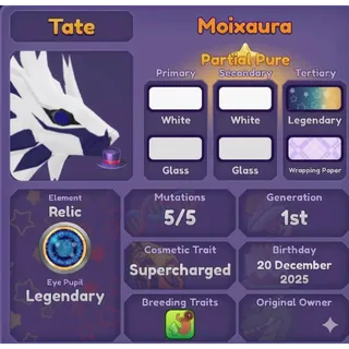 MOIXAURA | DRAGON ADVENTURES 