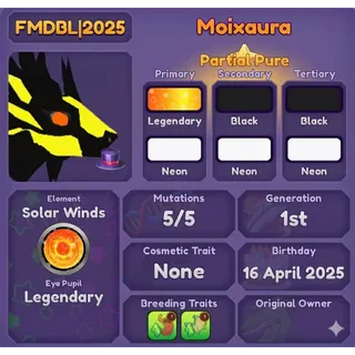 MOIXAURA | DRAGON ADVENTURES 