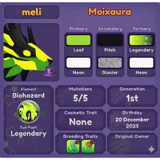 MOIXAURA | DRAGON ADVENTURES 