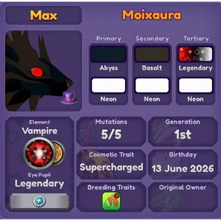 MOIXAURA | DRAGON ADVENTURES 