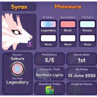 MOIXAURA | DRAGON ADVENTURES 