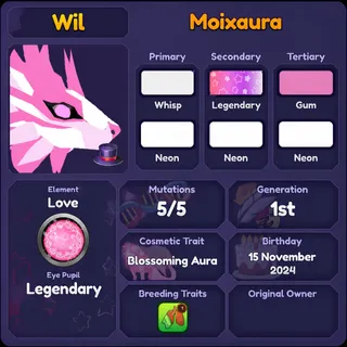 MOIXAURA 2024| DRAGON ADVENTURES 