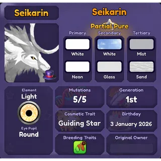 SEIKARIN | DRAGON ADVENTURES 