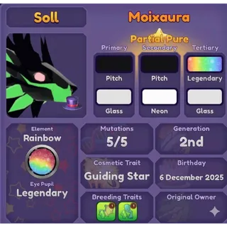 MOIXAURA | DRAGON ADVENTURES 