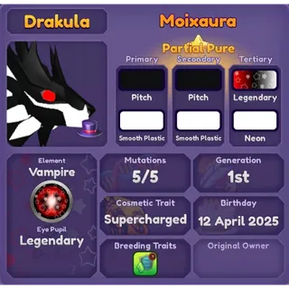 MOIXAURA 2025 | DRAGON ADVENTURES 