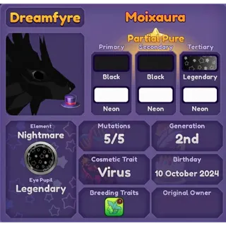 MOIXAURA 2024 | DRAGON ADVENTURES 