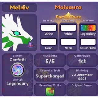 MOIXAURA 2025 | DRAGON ADVENTURES 