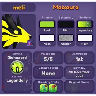 MOIXAURA 2025 | DRAGON ADVENTURES 