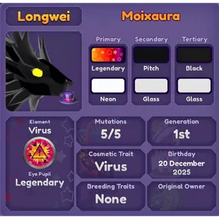 MOIXAURA 2025 | DRAGON ADVENTURES 