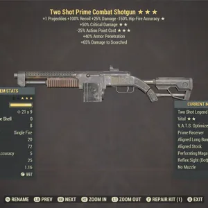 TS50c25 Combat Shotgun