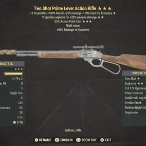 TSE25 Lever Action Rifle