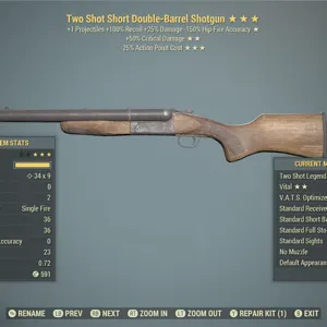 Weapon | TS50c25 Double Barrel SG