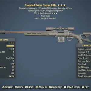 BE25 Hunting Rifle