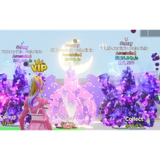 Go up For Brainrots - 3x Chickeninio Paladinio Bundle