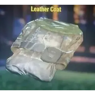 Leather coat