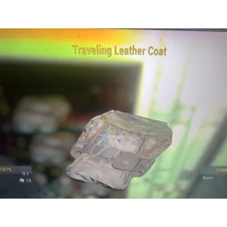 Traveling leather coat