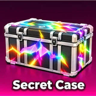 Secret Case