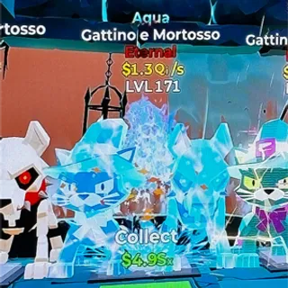 gattino e mortosso