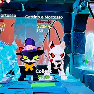 gattino e mortosso