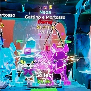 gattino e mortosso