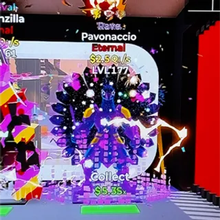 pavonaccio