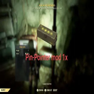 Pin-Pointer Mod 1x