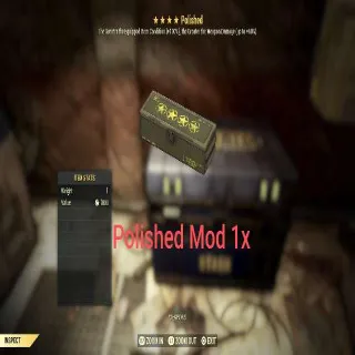 Polished Mod 1x