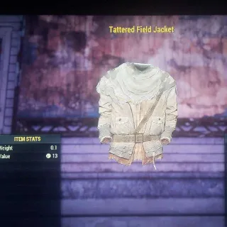 Tattered Field Jacket