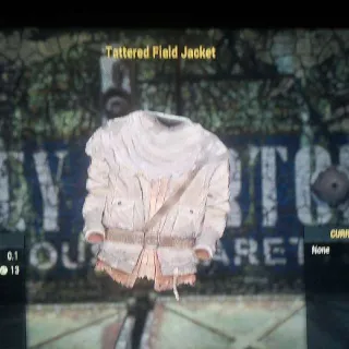 Tattered field Jacket